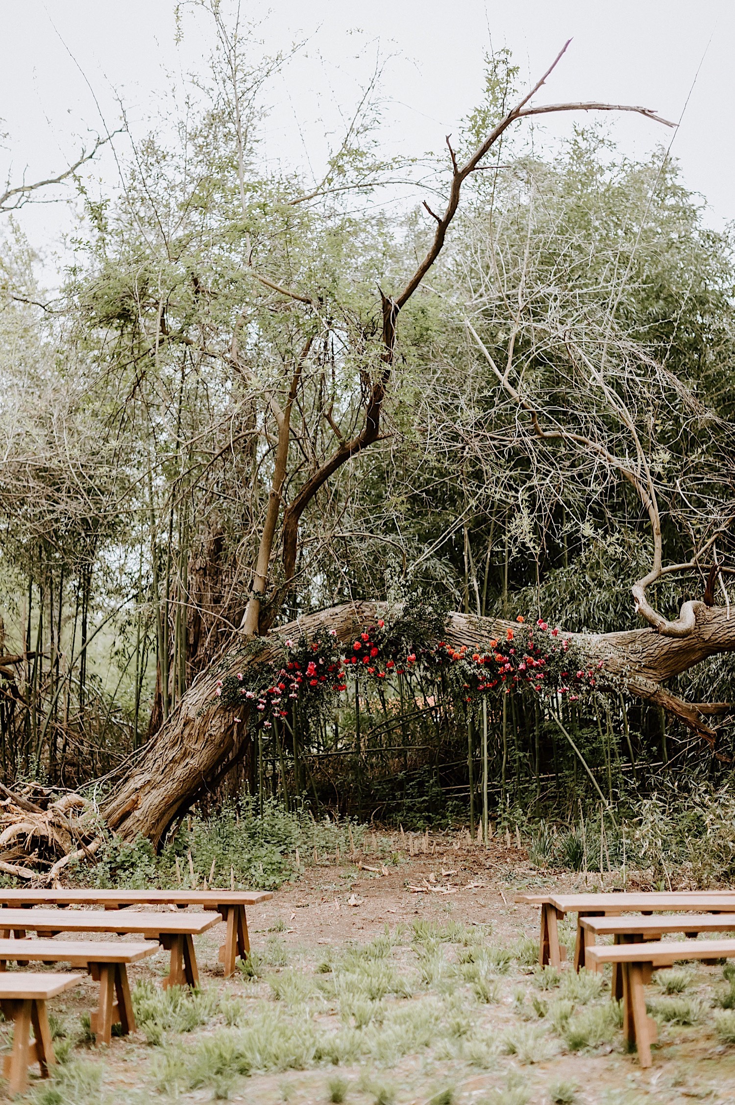 Barnsley Manor Wedding Philadelphia Wedding Photographer Hacienda Wedding Inspiration 10
