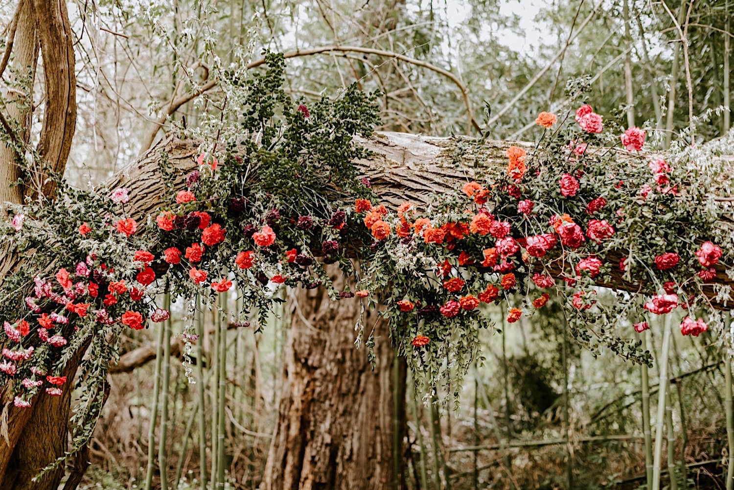 Barnsley Manor Wedding Philadelphia Wedding Photographer Hacienda Wedding Inspiration 11