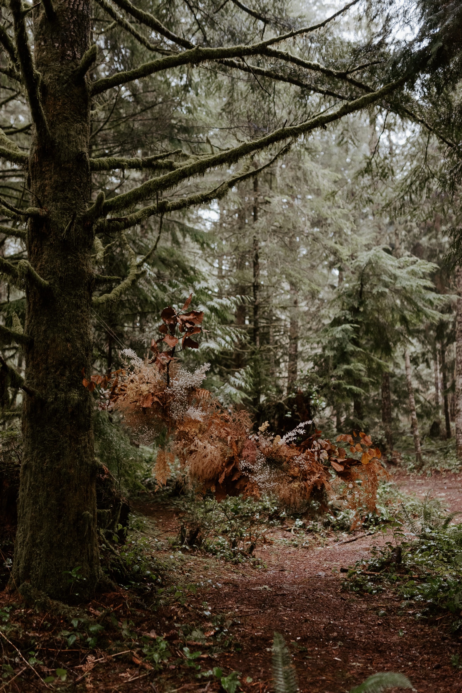 The Woodlands House Sandy Oregon Elopement Portland Elopement Photographer PNW Adventurous Elopement Anais Possamai Photography 011