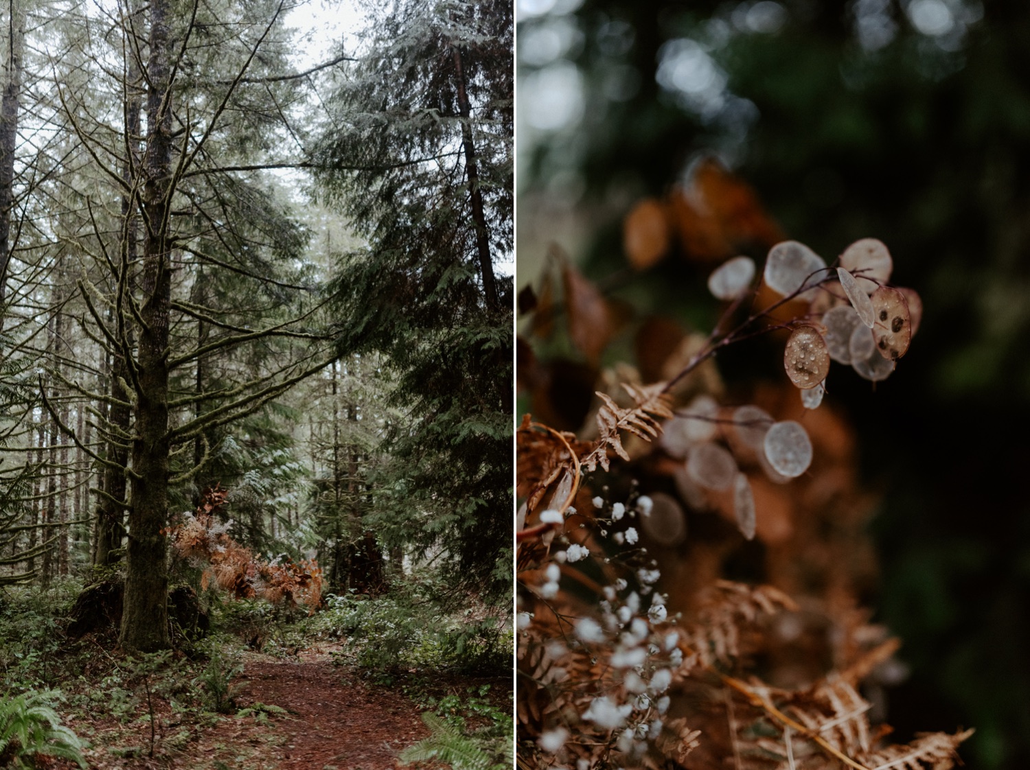 The Woodlands House Sandy Oregon Elopement Portland Elopement Photographer PNW Adventurous Elopement Anais Possamai Photography 012