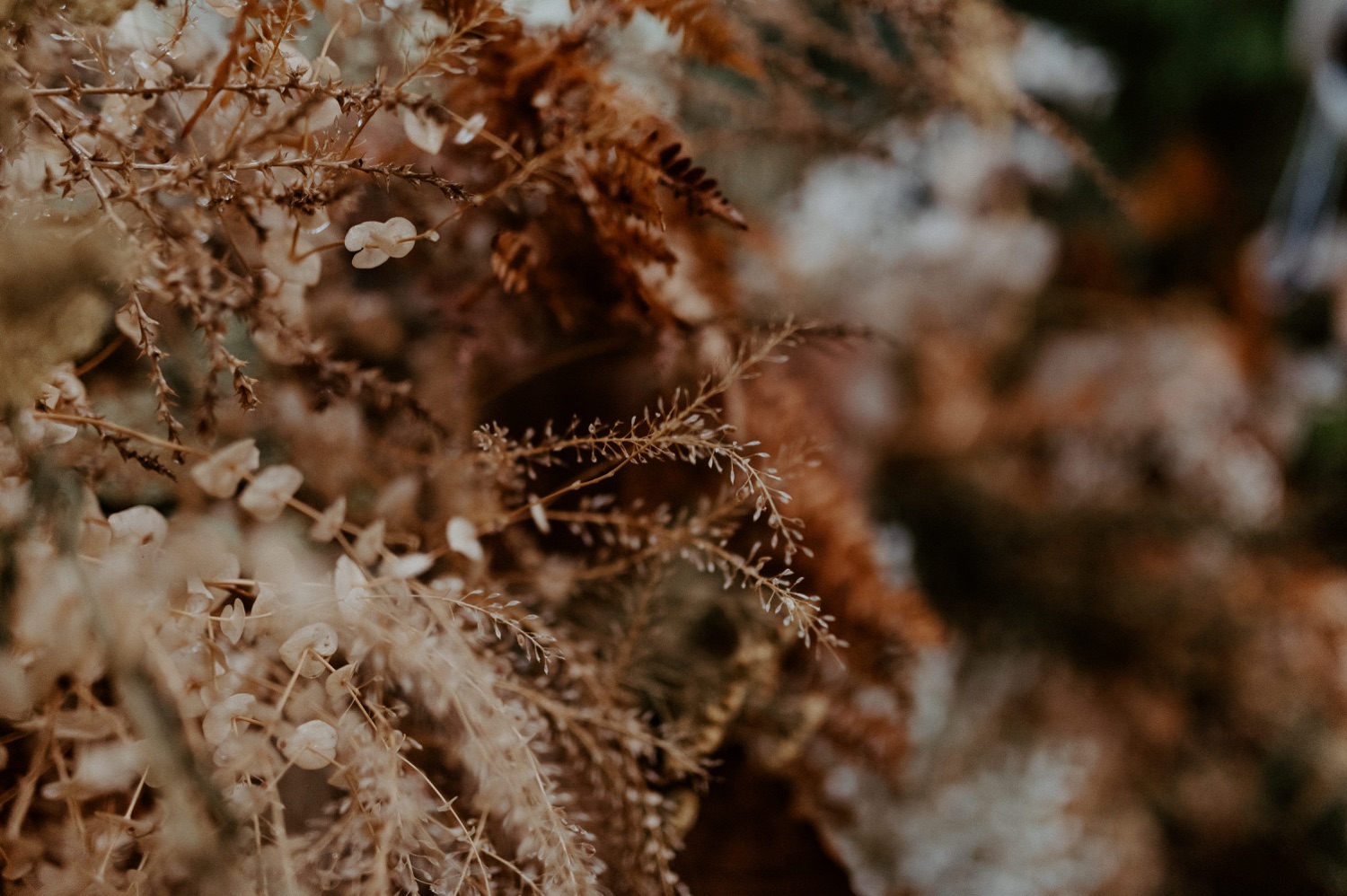 The Woodlands House Sandy Oregon Elopement Portland Elopement Photographer PNW Adventurous Elopement Anais Possamai Photography 013