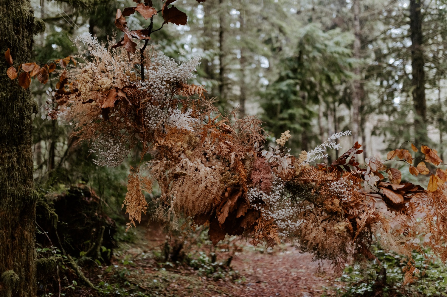 The Woodlands House Sandy Oregon Elopement Portland Elopement Photographer PNW Adventurous Elopement Anais Possamai Photography 014