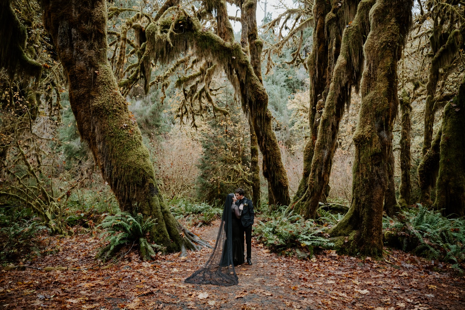 Hoh Rain Forest Elopement Olympic National Park Elopement Photographer Seattle Elopement Photographer 33